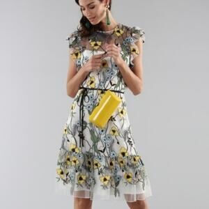 Monique Lhuillier Floral Daisy Embroidered Dress Womens 12 Sheer Overlay Ruffle